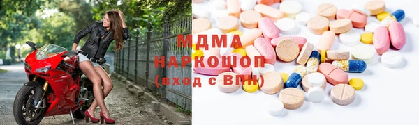 индика Дмитров