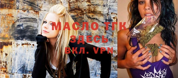 индика Дмитров