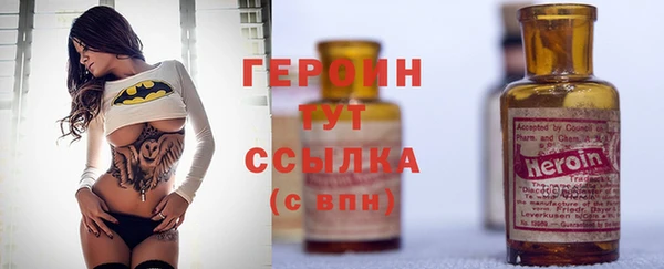 индика Дмитров