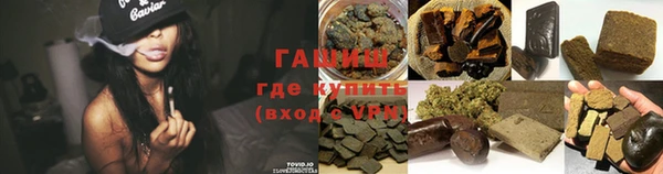 индика Дмитров