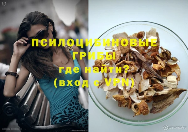 дживик Дмитровск