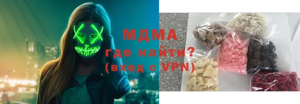 индика Дмитров