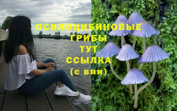 кокс Дмитриев