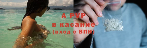 индика Дмитров