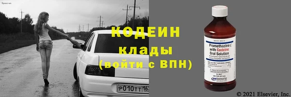 индика Дмитров