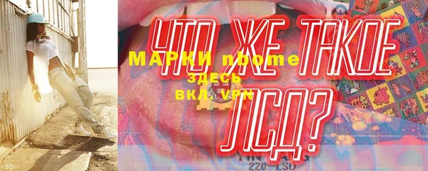 индика Дмитров