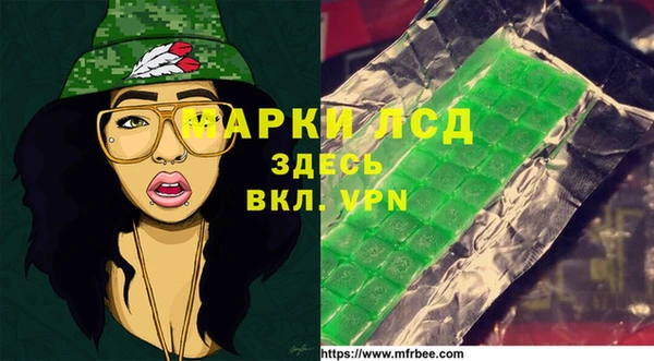 индика Дмитров