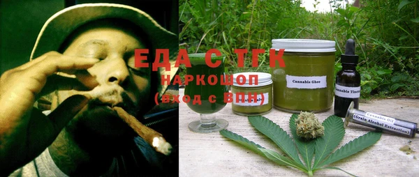 индика Дмитров
