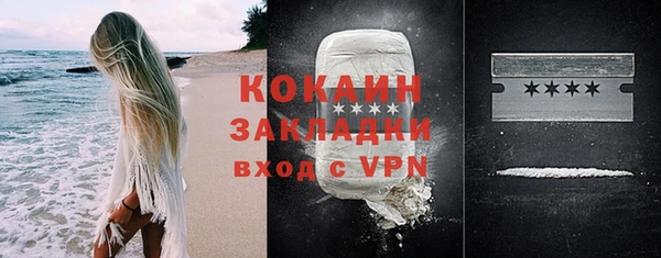 индика Дмитров