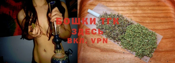 индика Дмитров