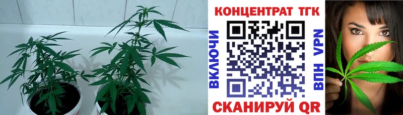 KRAKEN вход  Эртиль  ТГК вейп 